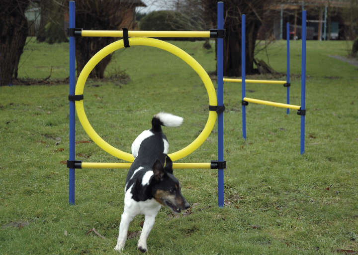 dobar Agility Hürden- und Sprung-Set 3-teilig